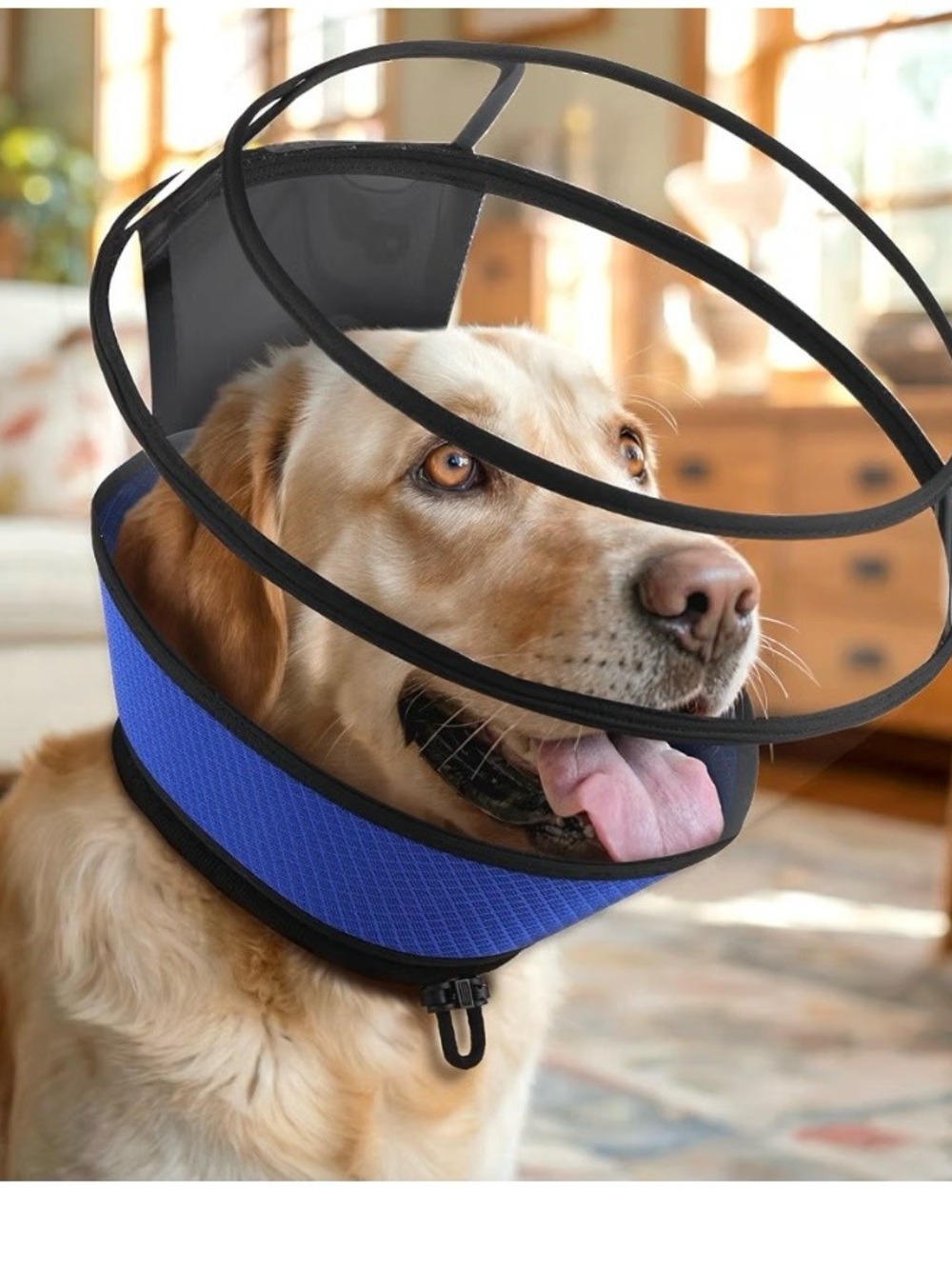 Soft Dog Cone for Dogs
